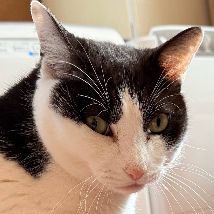 0885e92e 2947 4661 987e a43077b05db7 1741397149410