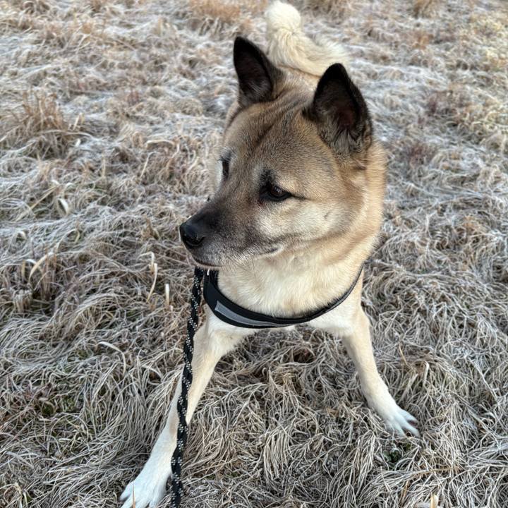 0885e9b7 dcc2 40c0 9d29 03883b3f166a 1740486773323