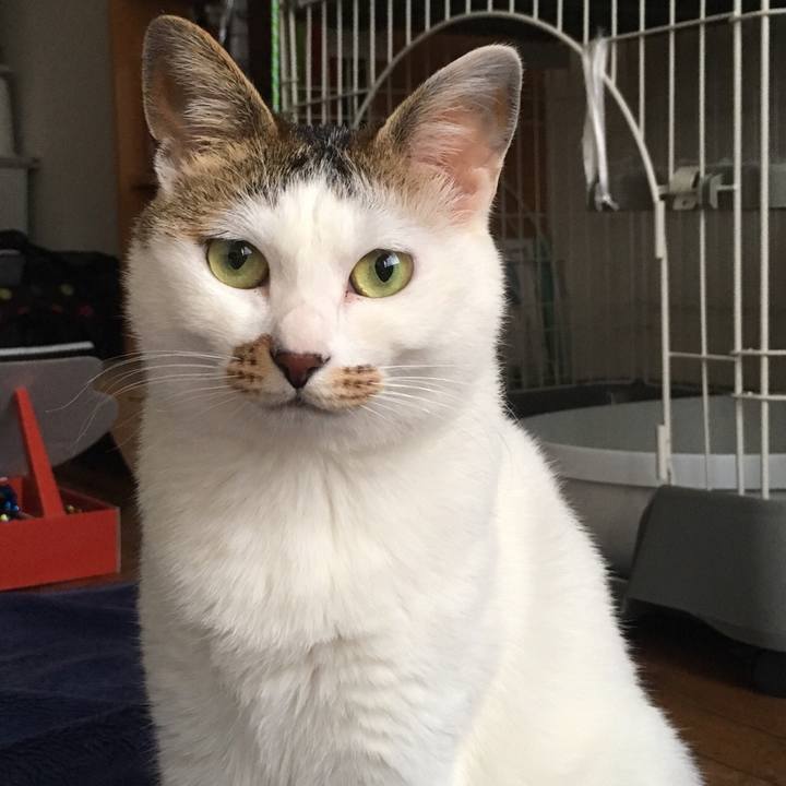 08860c7f ed4b 48ba b5c2 b5a5b88e9ad3 1556524703793