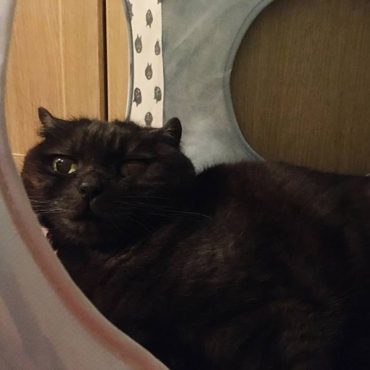 08863b41 7683 44c6 a967 8f5e4c0fe3b9 1588520069381