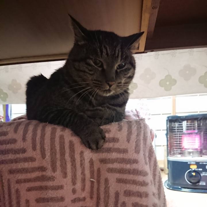 088696bb e633 4aea b1ac bad996960e44 1637874470428