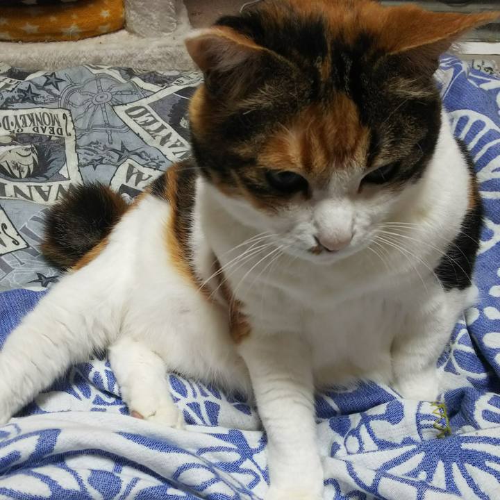 0886af6e 3b60 49cb 9b56 57618d8e3dc1 1528839894009