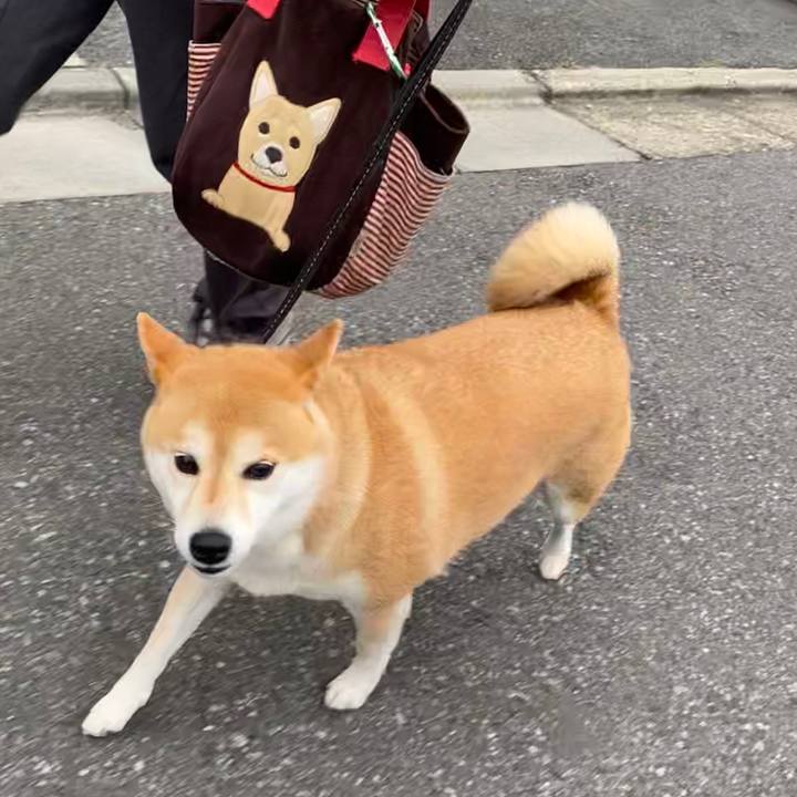 0886d3ed ecea 4768 bb0c 271886212f48 1593559319347