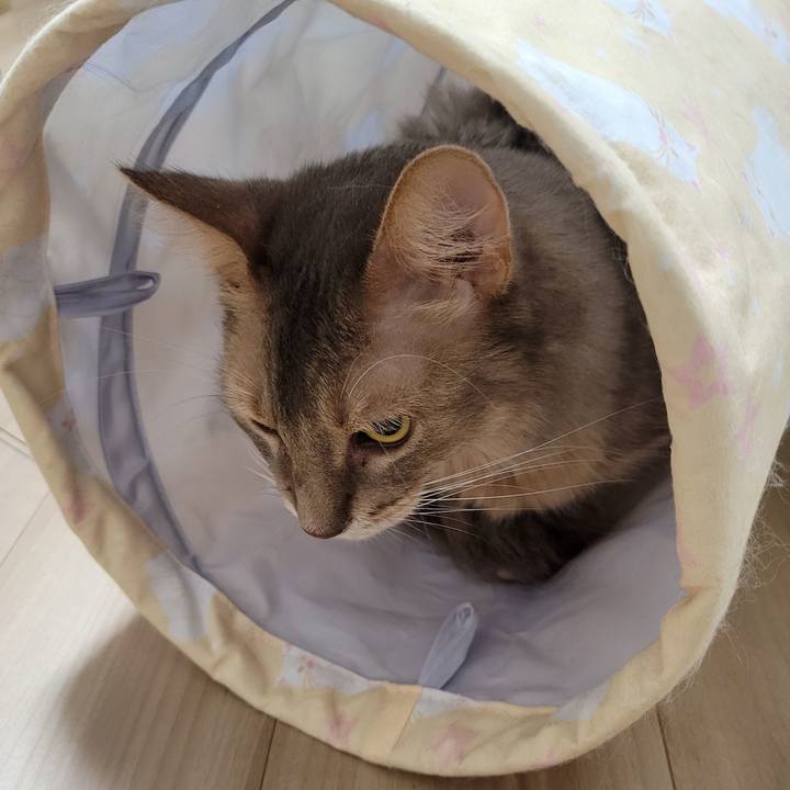 0886fcea 57ae 4933 a975 ef094da1f9e7 1628637619438