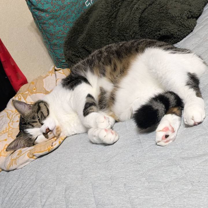 0886fd65 256b 407d acf4 146a15b1fdff 1724641156042