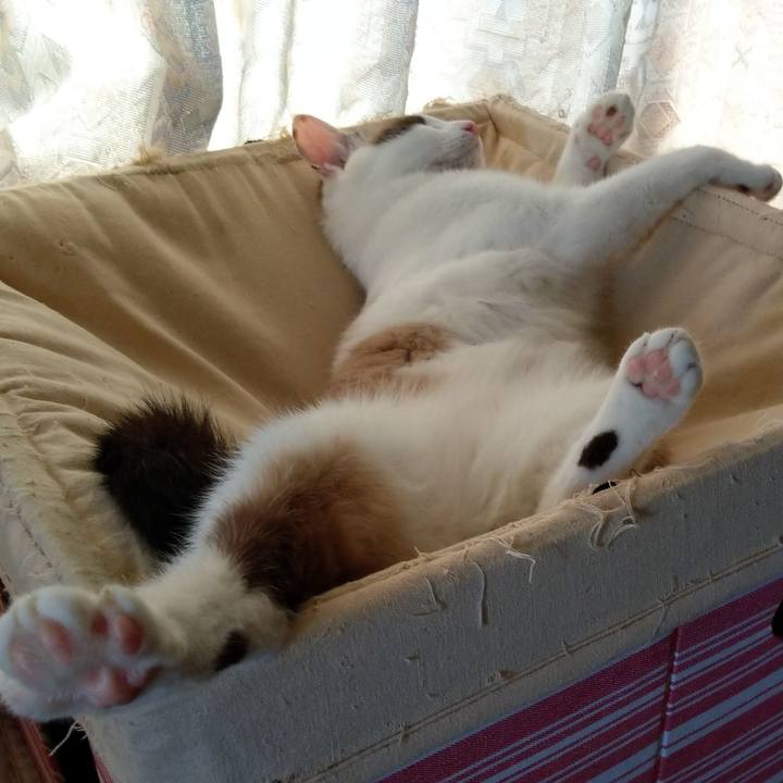 08873af2 3bff 4f57 9624 08a98e0e7716 1537759642628