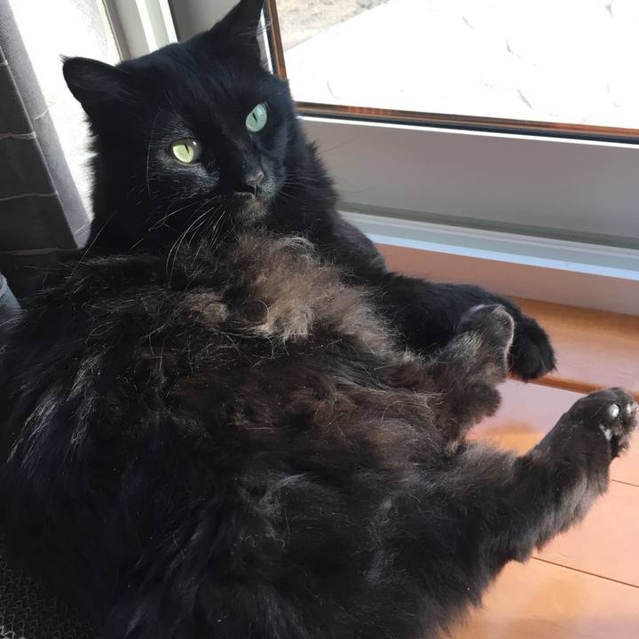 08873d22 f039 464f 9790 665d7f9f9fc1 1526112884571