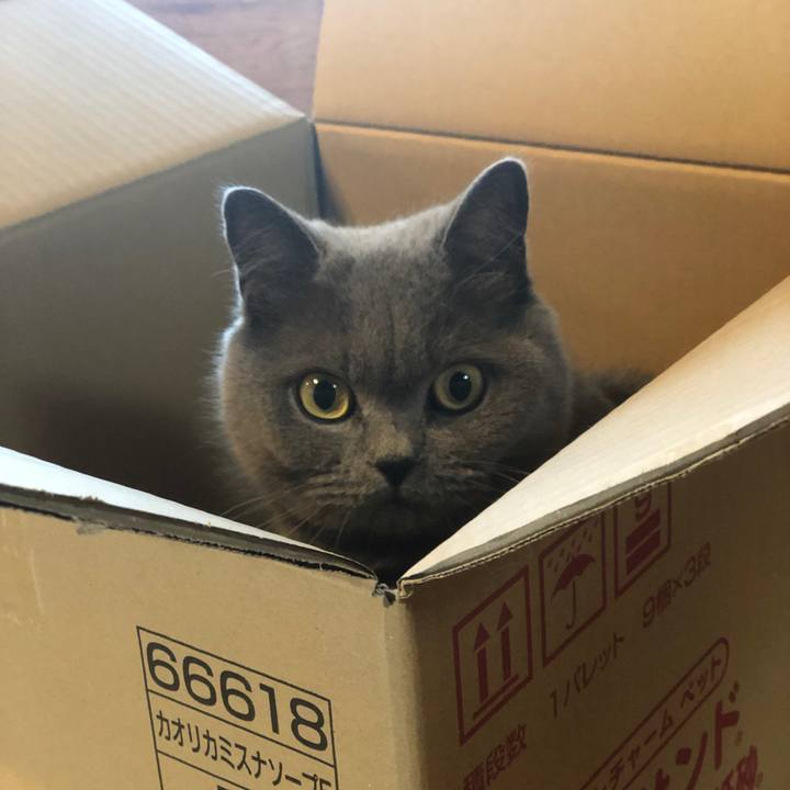 08874771 07b7 44eb 9628 50946ab7632c 1554160089216