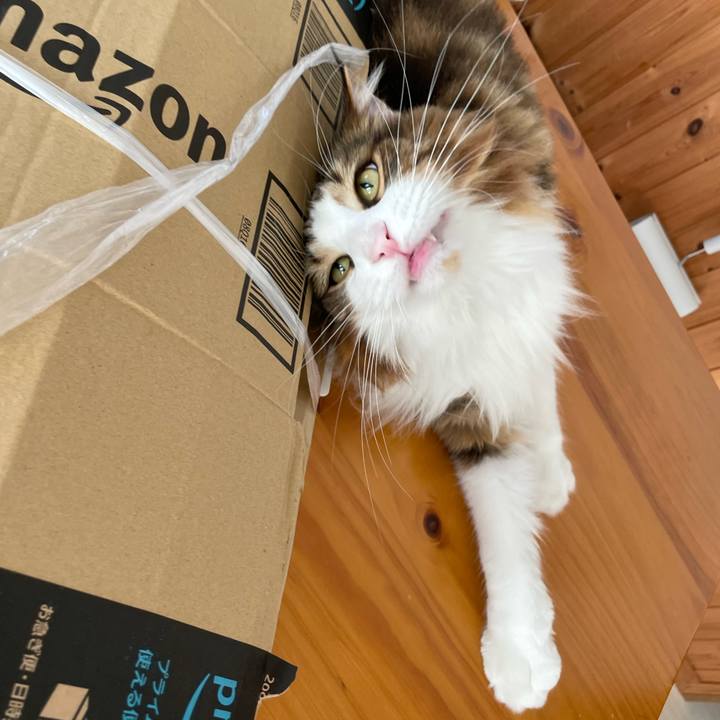 0887568d db39 482a a90f 9c0875a80b92 1664664175440