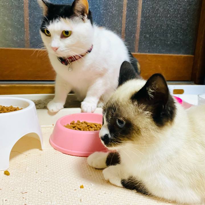 0887ad02 68bf 4be4 8128 b820a0941a6e 1682716799406