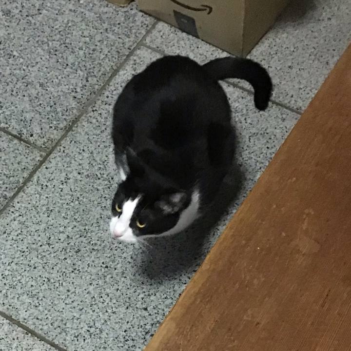 0887f3cd d806 43a6 847c 9b428ba7d2f5 1762592462623