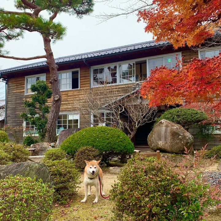 0887fc7f 455c 40c0 bf3d 71f681f08d76 1669286497525