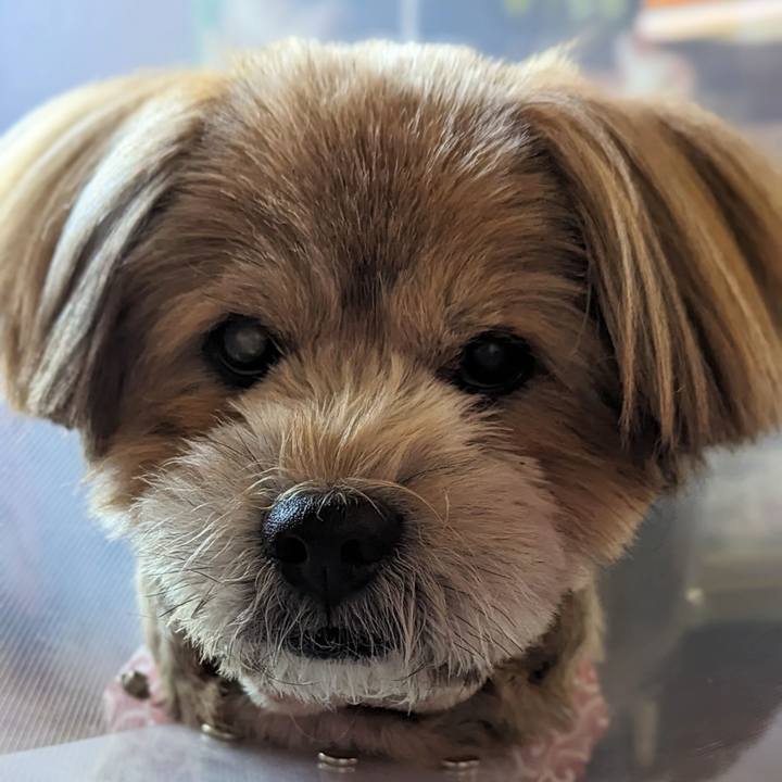 08882b62 72ec 4184 8d24 6eea7330fcfc 1697846328119