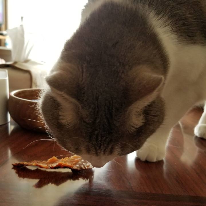 08883597 1377 4fca 8ebd d8cdb3b221a2 1605448453535