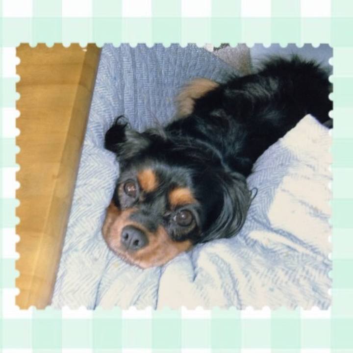 08883a71 3c26 44d3 b91d f6d717974402 1507882267347