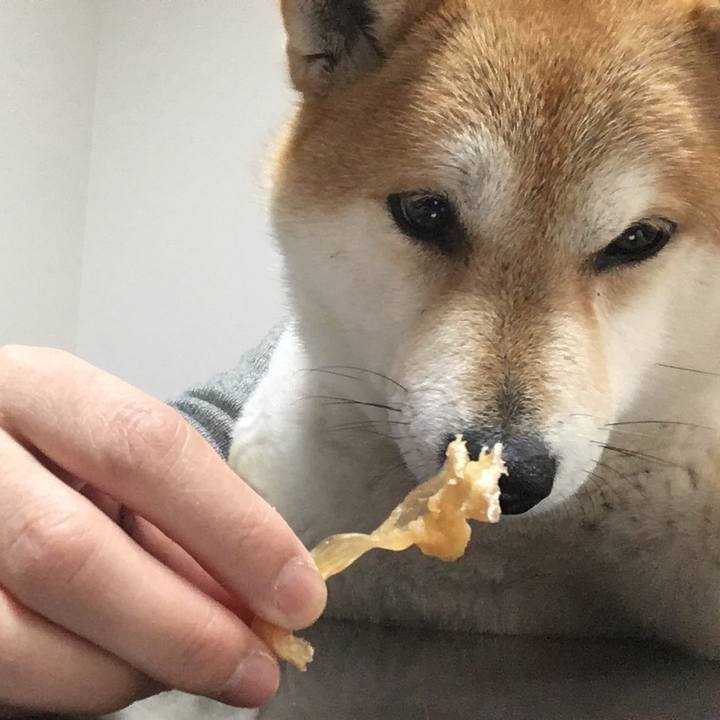 08883d81 fba8 46f8 92a5 e12a324ee712 1579757647854