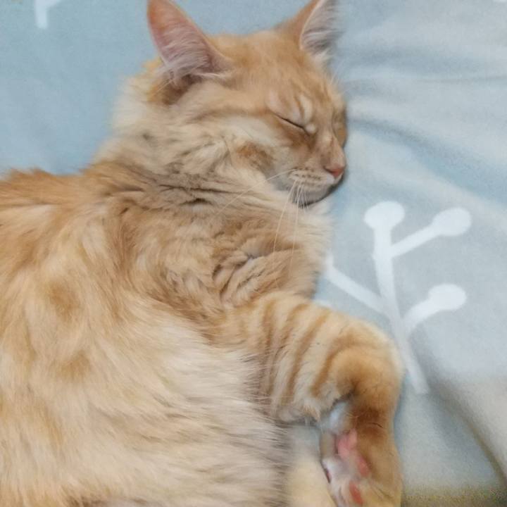 08885574 ecc4 44e1 96ab cdf1adf1b0e9 1640164192275