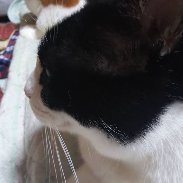 08887958 ccfc 4b87 98be 299126de8f76 1565128169784