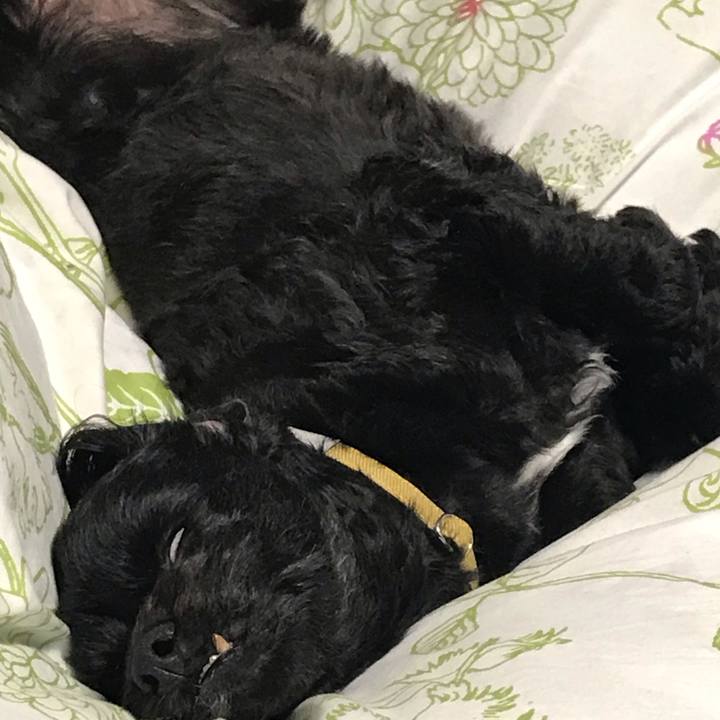 0888993c 6fab 47b0 b5b2 c3519af8ad50 1558574321024