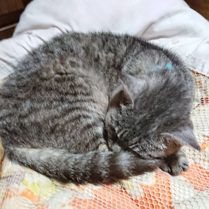 0888a9be 40d7 4bc1 9790 7fb1bbb9e32f 1570798046246