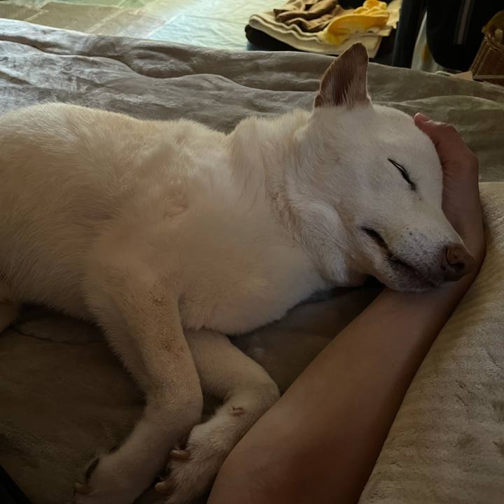 0888d201 bd64 412c a83d bf149132e199 1635133887276