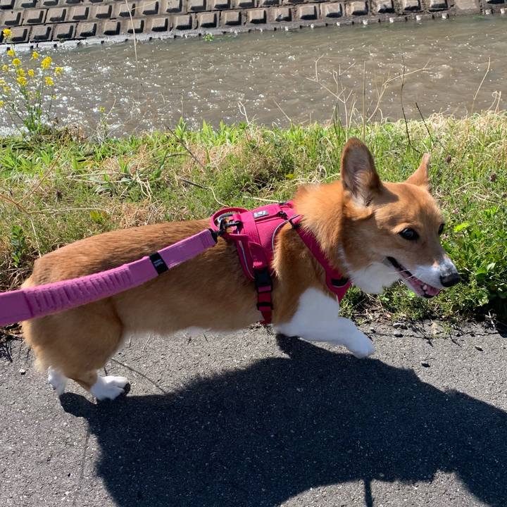 0888d5f5 2604 420b b241 65cf1ab5dc5d 1711692669801