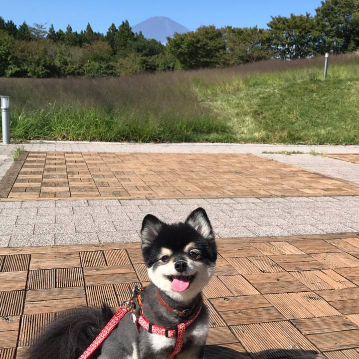 08893f8d 2ee8 4142 9650 2b6a3720de0b 1573643276537