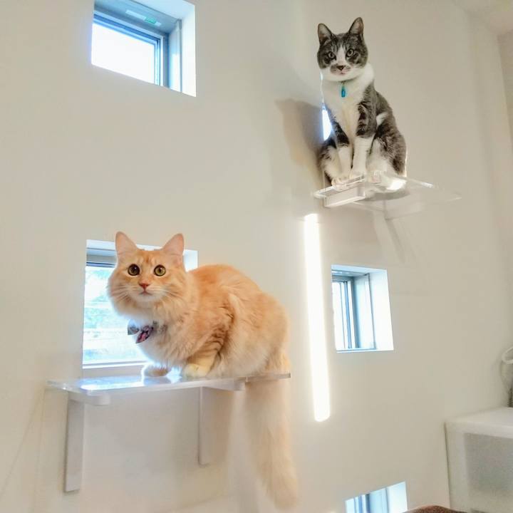 08894ff3 654d 4f7a 9eb4 a26417e2aff3 1636267700971