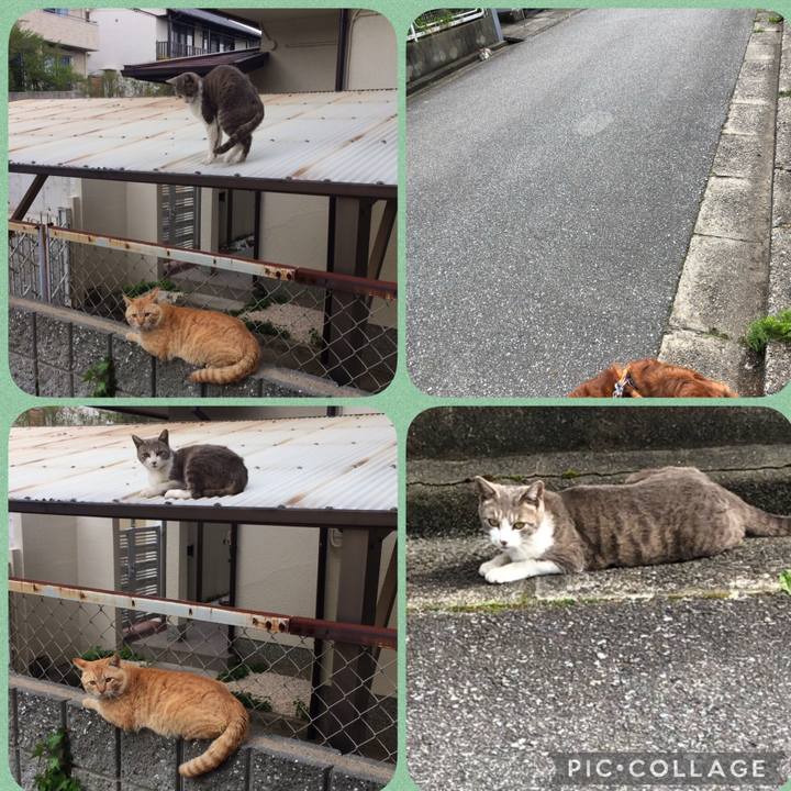 0889619e c8b2 4c57 924e fa21c73d8366 1617717979629