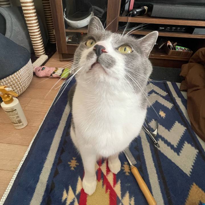 088989c0 6932 4530 9c31 a39680266923 1673144786071