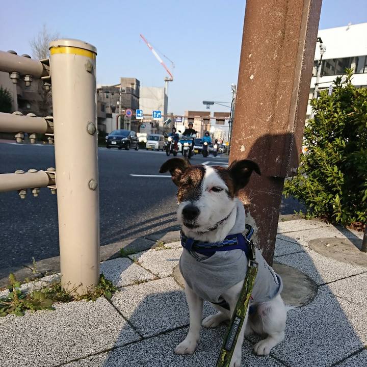 0889b798 7d67 47c3 81ac 87e1e3569af3 1522274858218