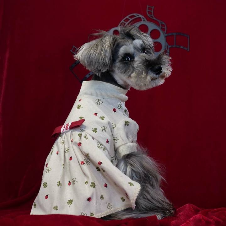 0889baec fb15 424a 8f44 187d13eaac7b 1711986866864