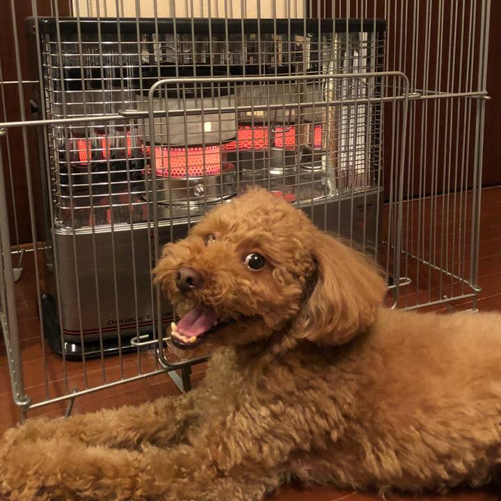 0889bcc0 894d 4ce4 90cc 7d30b8091212 1515058659891