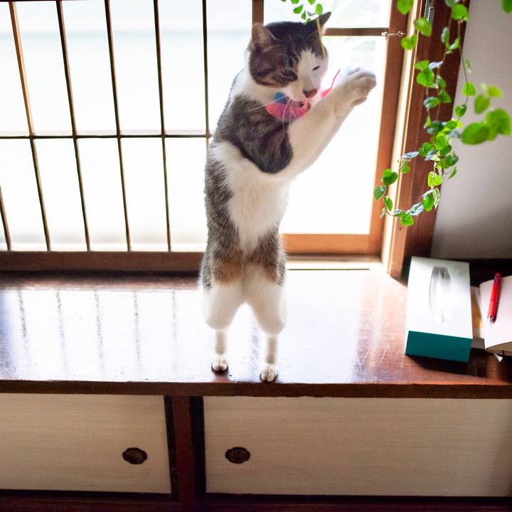 0889bcda 770a 42c3 97ad 364706cce4d9 1586403750594