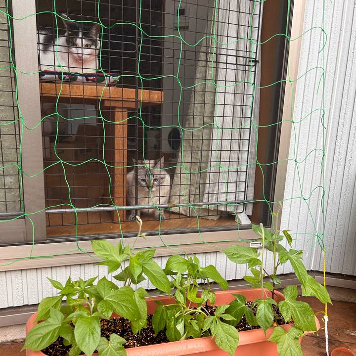 0889be7b 1357 46a7 b13a 3616f9721dba 1752270247359