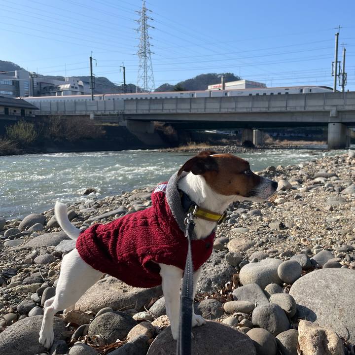 0889efad b8fa 4507 bd22 d17c74af73a9 1649415129503