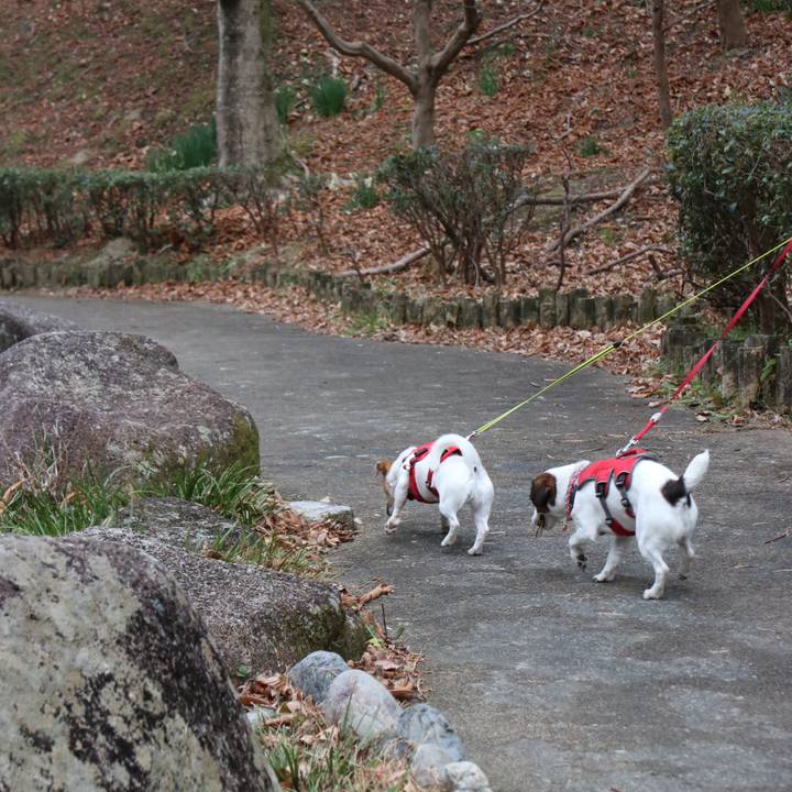 088a4a24 b879 4c0e a724 44c13cc53c8c 1517106383128