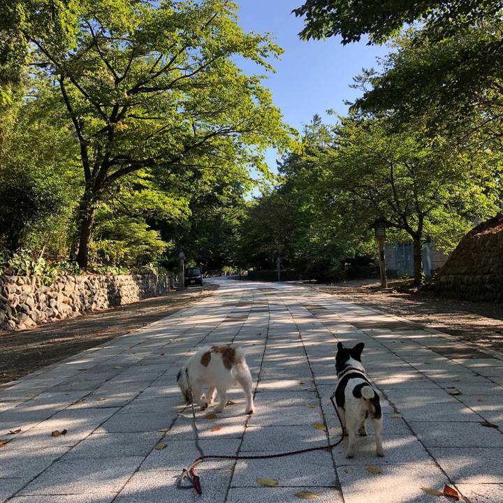 088a9c46 fa34 424a b9f1 841b4476477a 1532651289417