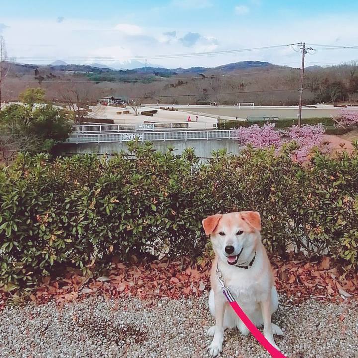 088af9b1 0dc8 4071 9444 1f543196a01c 1582358749211