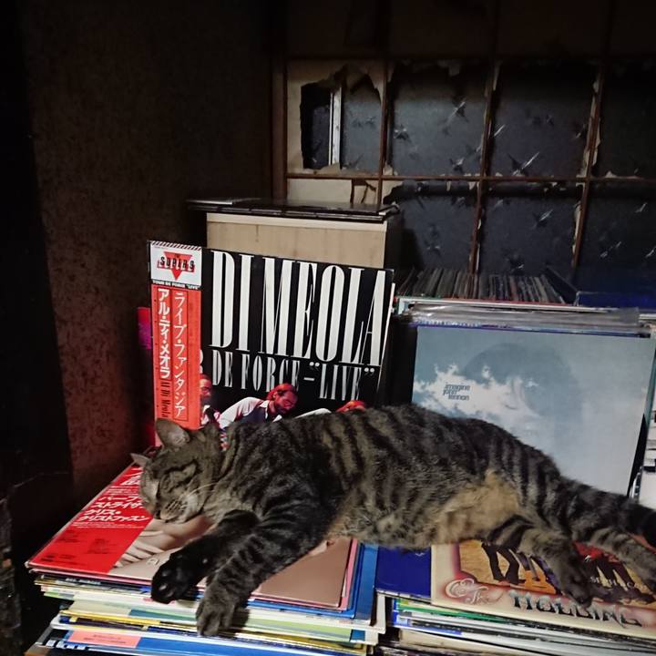 088b08b4 e37f 430b a2e8 1646b759d9e1 1661516803904