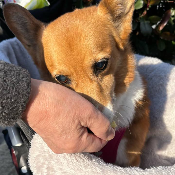 088b0c20 fce7 4271 9988 82b6bc8edb50 1738902835154