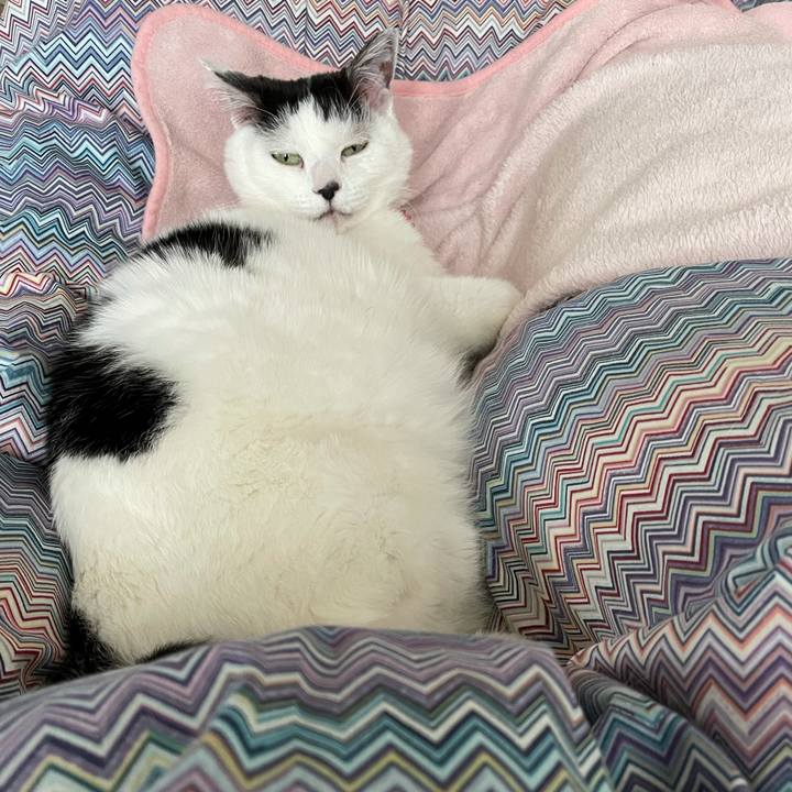 088b2fe1 02d2 499e bc01 d0c1d02a350c 1617841191214