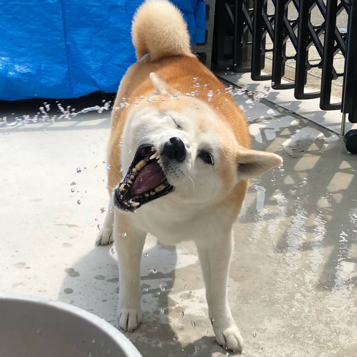 088b8622 b4bc 4bfa a3f7 49a9f3615921 1537072444622