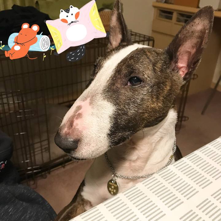 088b9ce3 a2d3 48a4 8dc9 943930ac11d2 1516195481758