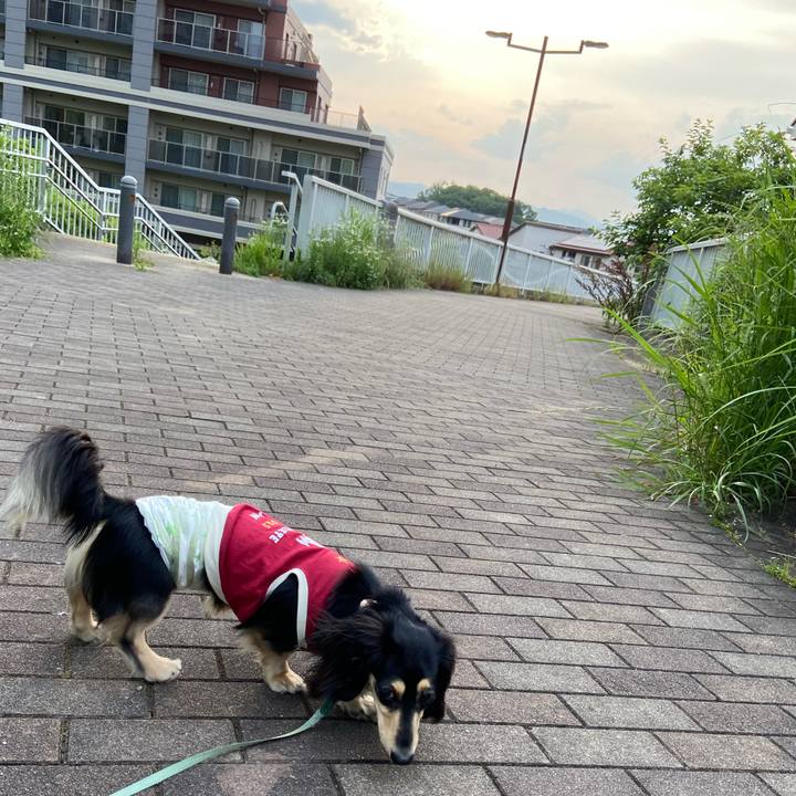 088bb461 29ff 446d a2ae 691b8f67fab9 1716542836507