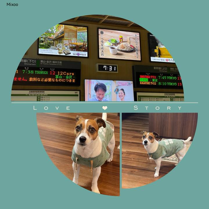 088bbe06 011d 47b8 aa45 005e2c5d6233 1717195790829