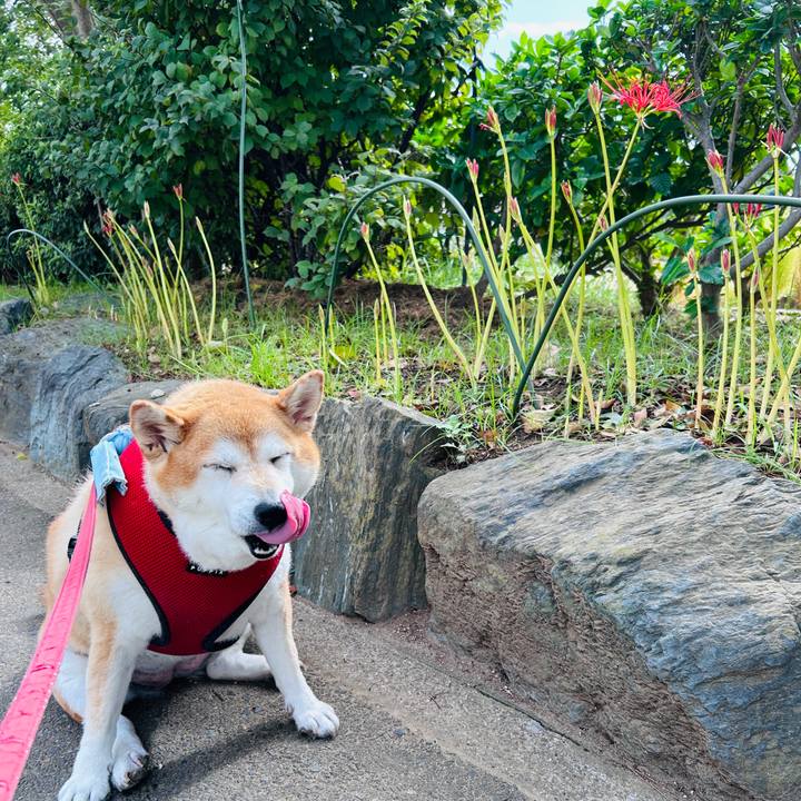 088bc349 d817 4a02 b296 69790ed3548a 1727141870262