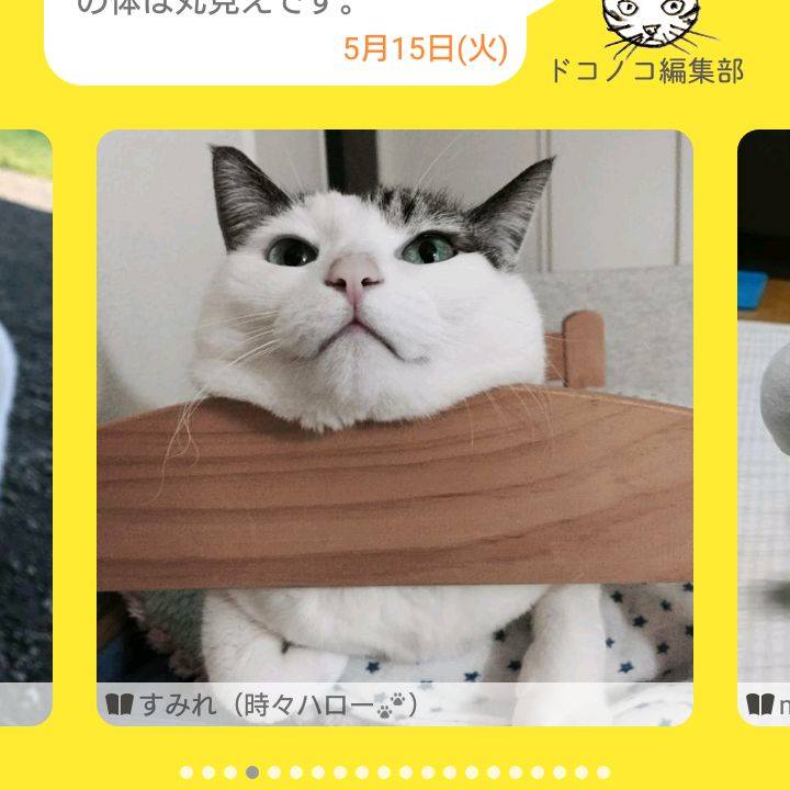 088c1a18 802d 4cde abe0 055da58f845e 1526482011428