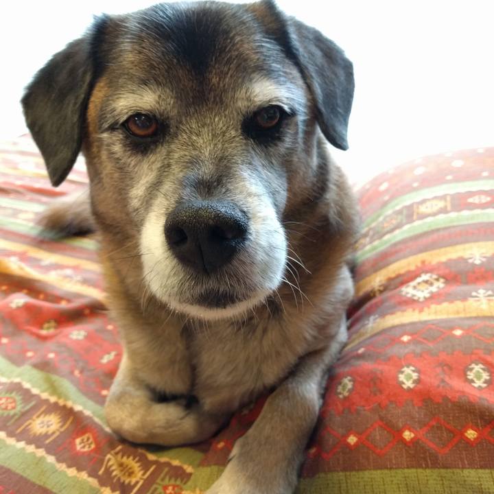 088c510b 6f2b 483d 806a fadcce612413 1515111767093