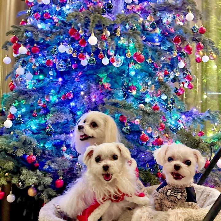 088c52bc d07e 496f ba91 cbc28b57ec64 1703431403120